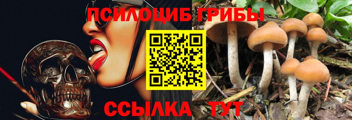Псилоцибиновые грибы прущие грибы Миллерово