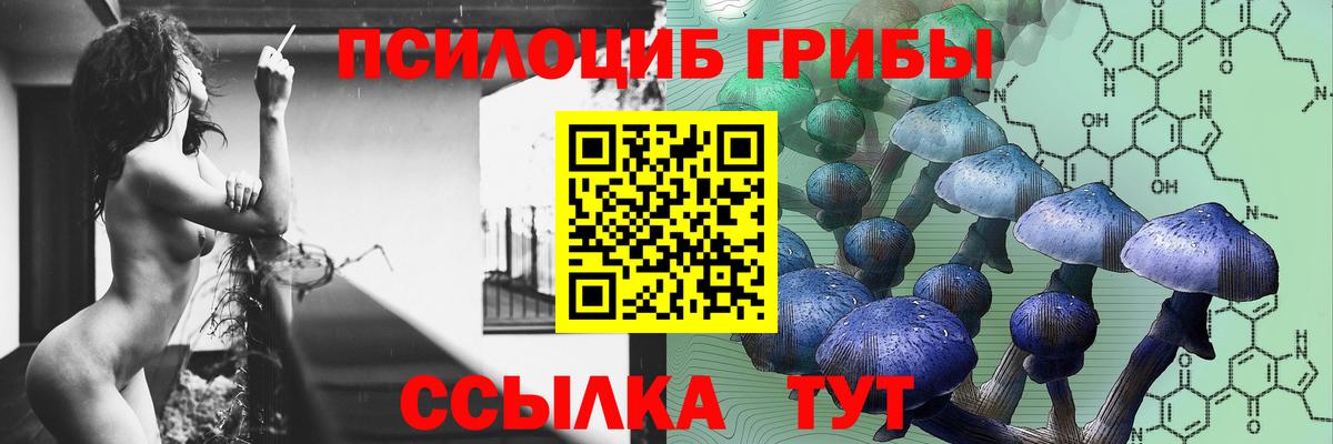 Галлюциногенные грибы MAGIC MUSHROOMS  Вход с VPN  Галлюциногенные грибы прущие грибы  Миллерово 